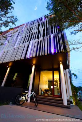 Blu Monkey Hostel Phuket